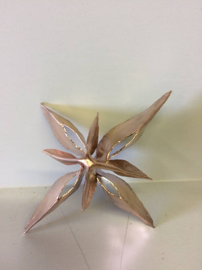 Copper 8 Point Star Ornament and Tree Topper