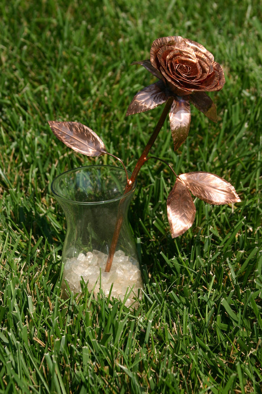 Copper Rose